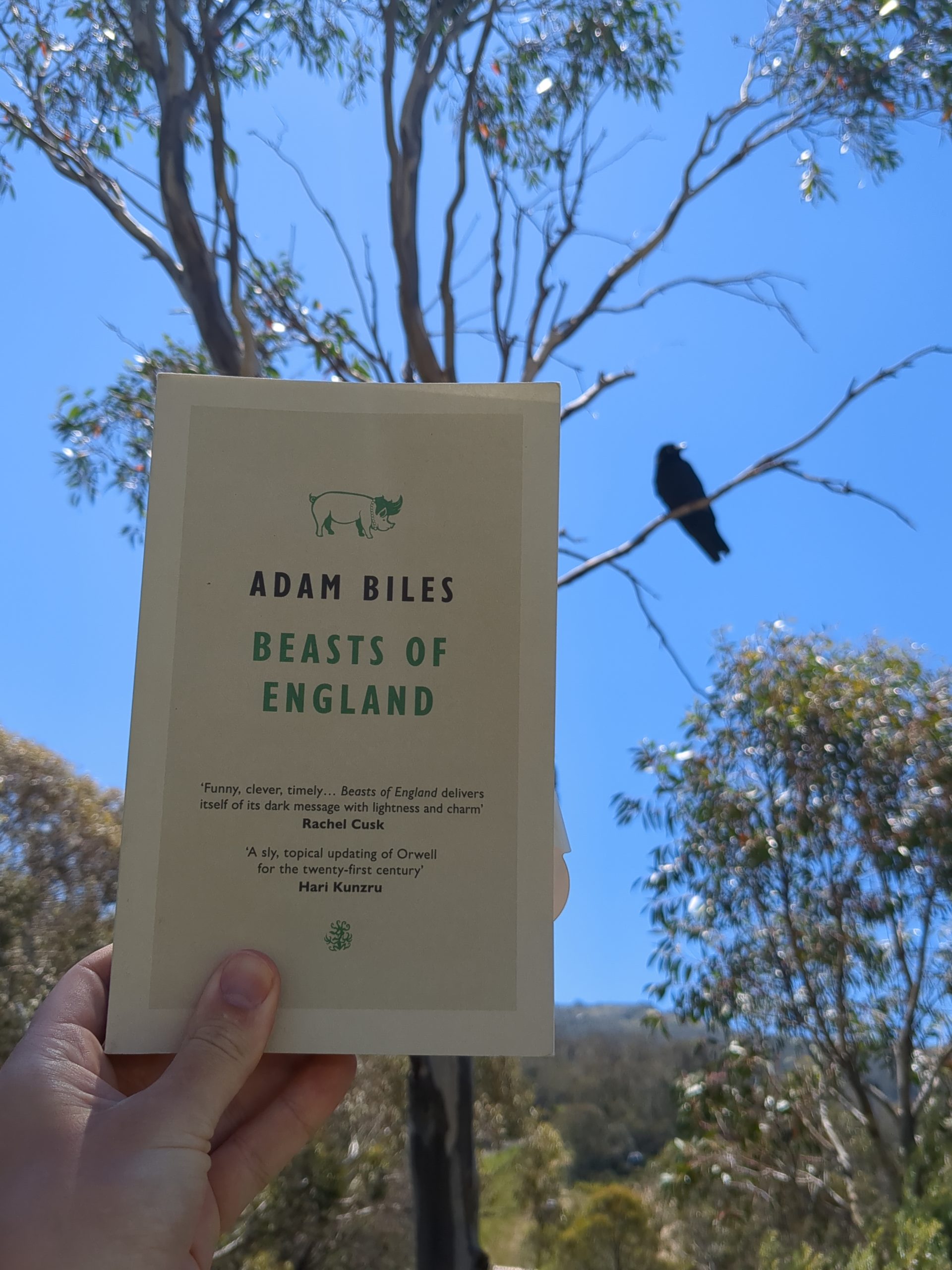 Beasts of England – Adam Biles