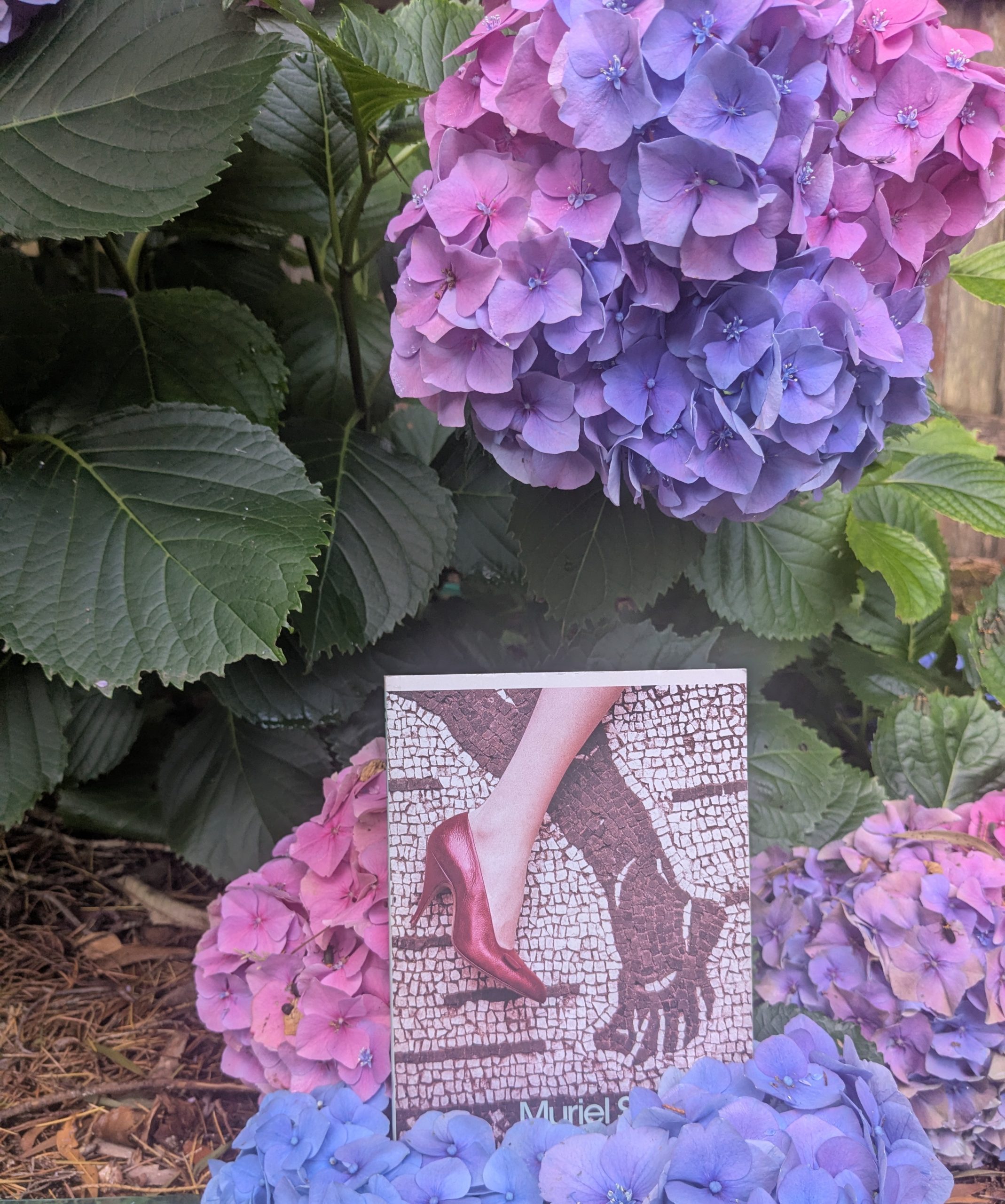 The Driver’s Seat – Muriel Spark