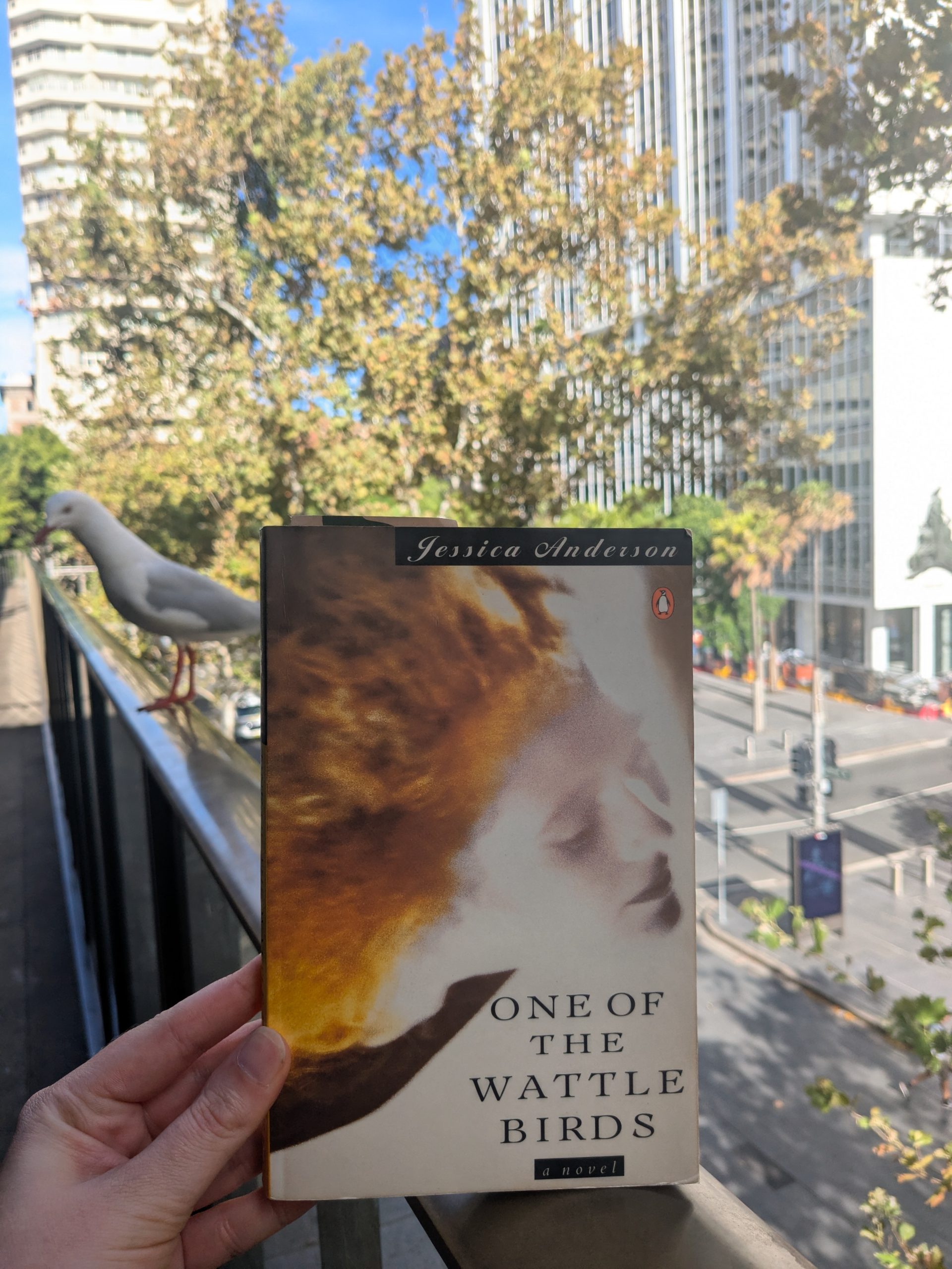 One of the Wattle Birds – Jessica Anderson