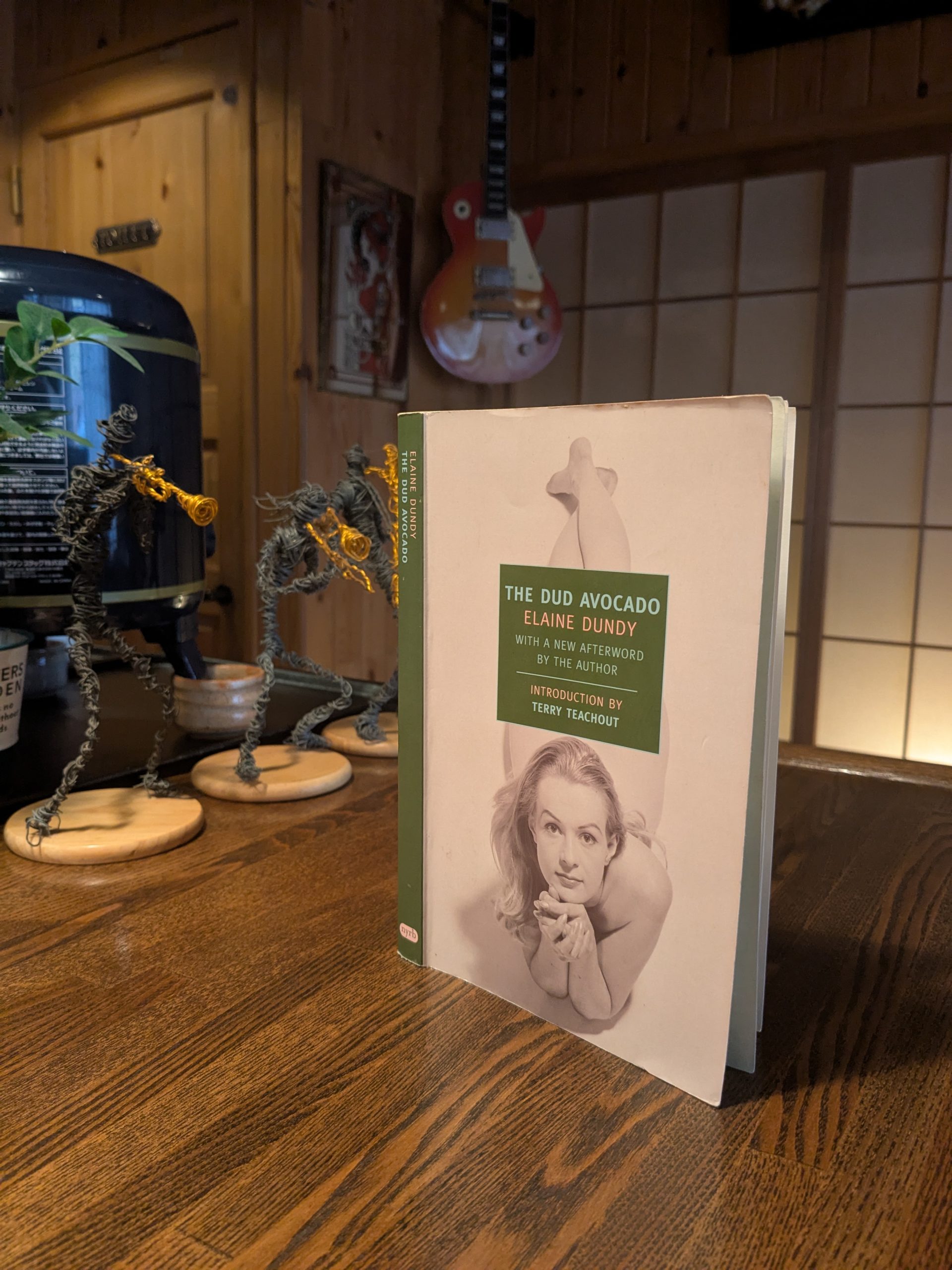 The Dud Avocado – Elaine Dundy