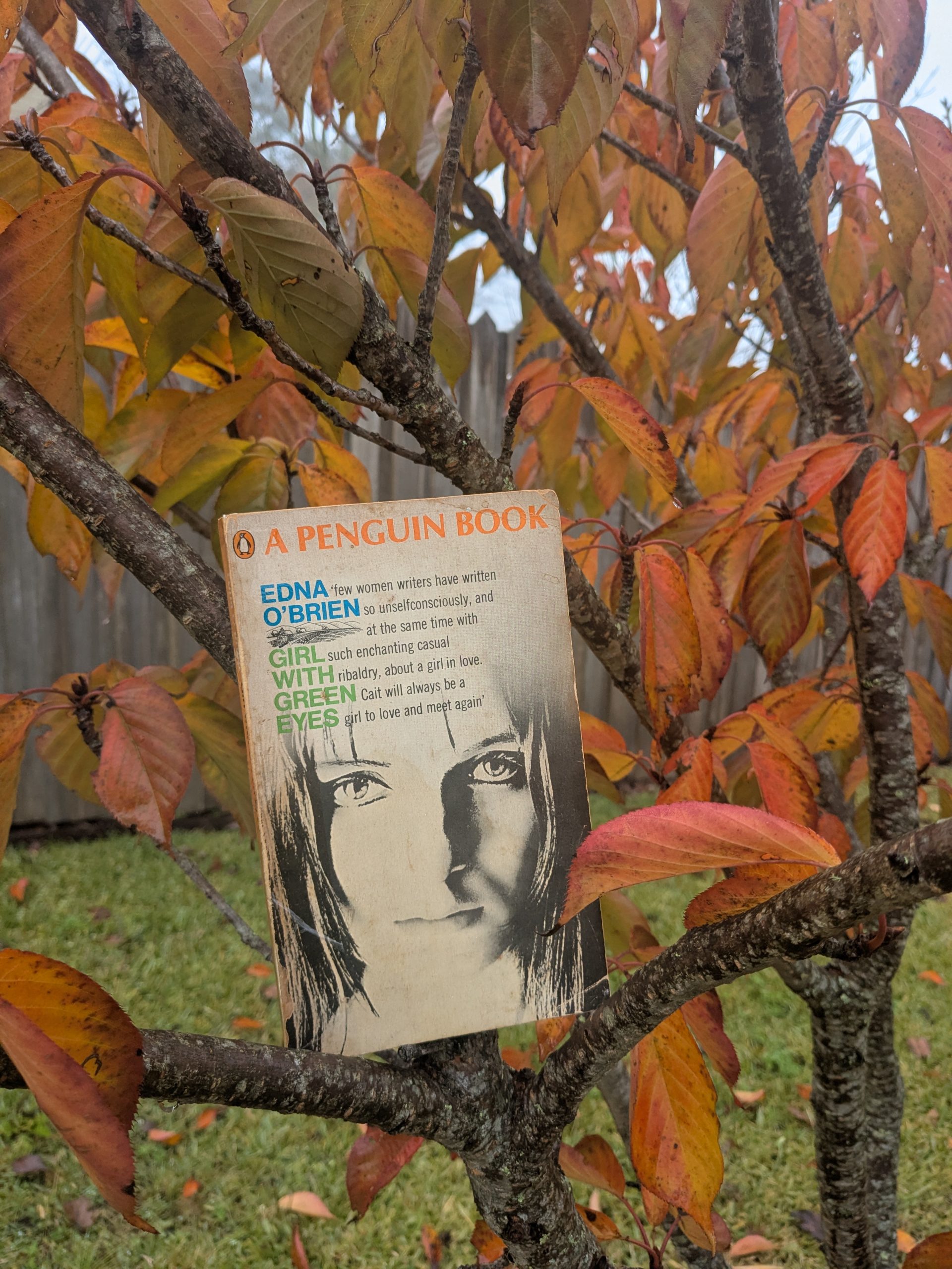 Girl with Green Eyes – Edna O’Brien (Or: Ode to a Bookseller)