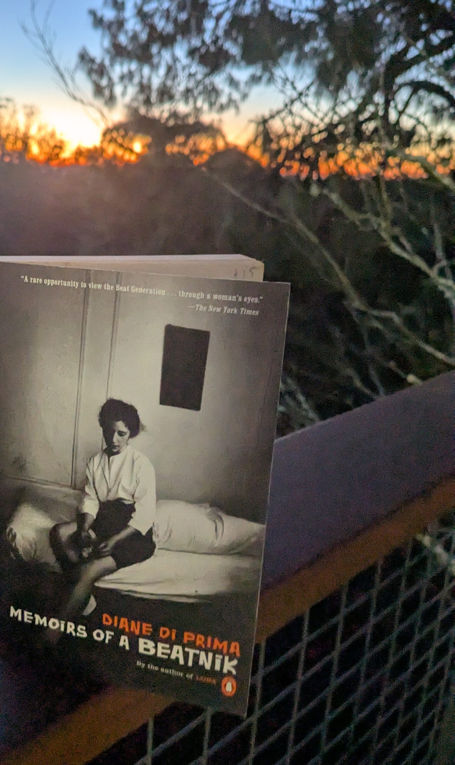 Memoirs of a Beatnik – Diane Di Prima