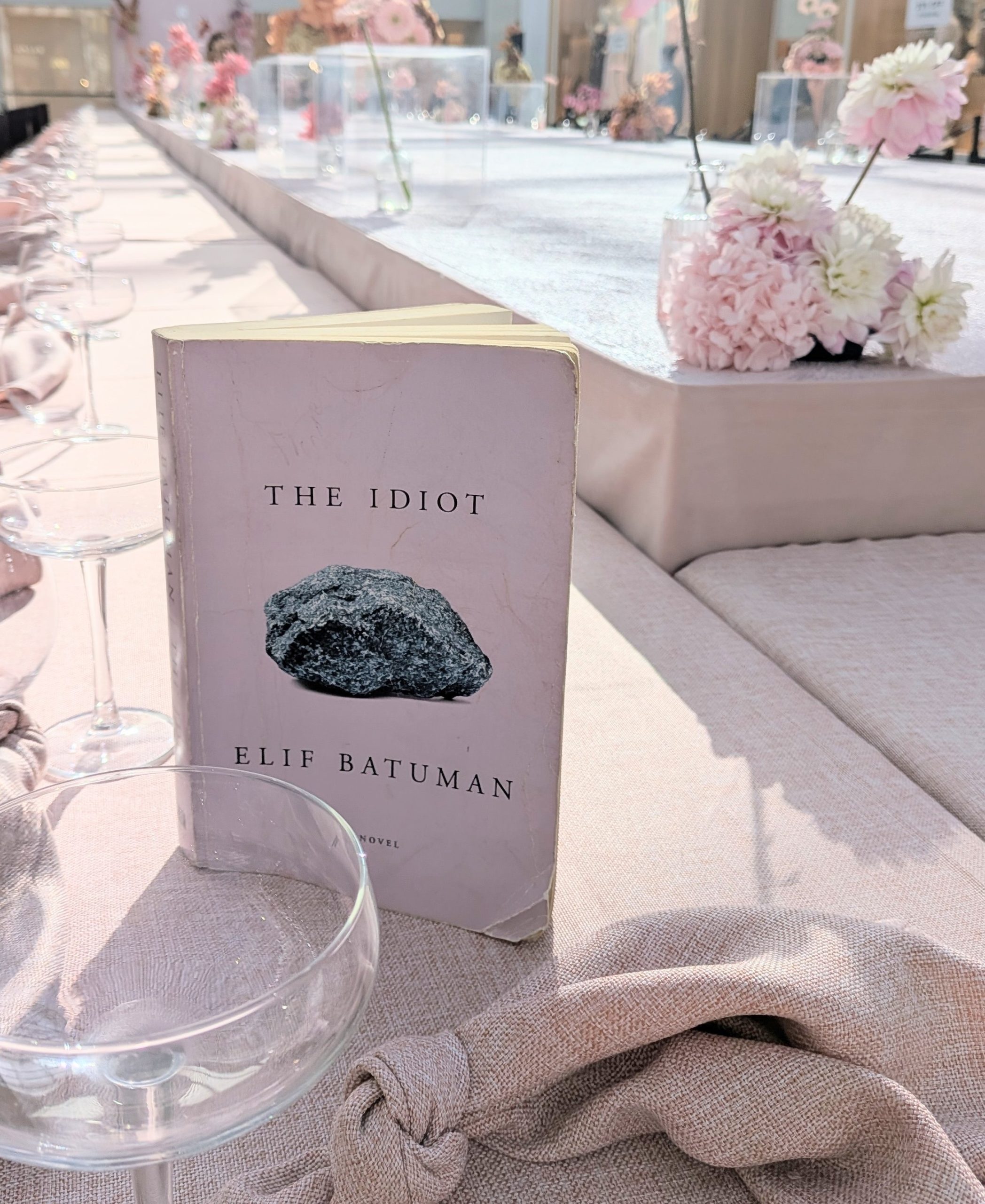The Idiot – Elif Batuman