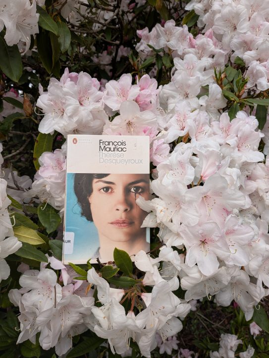 Therese Desqueyroux – Francois Mauriac