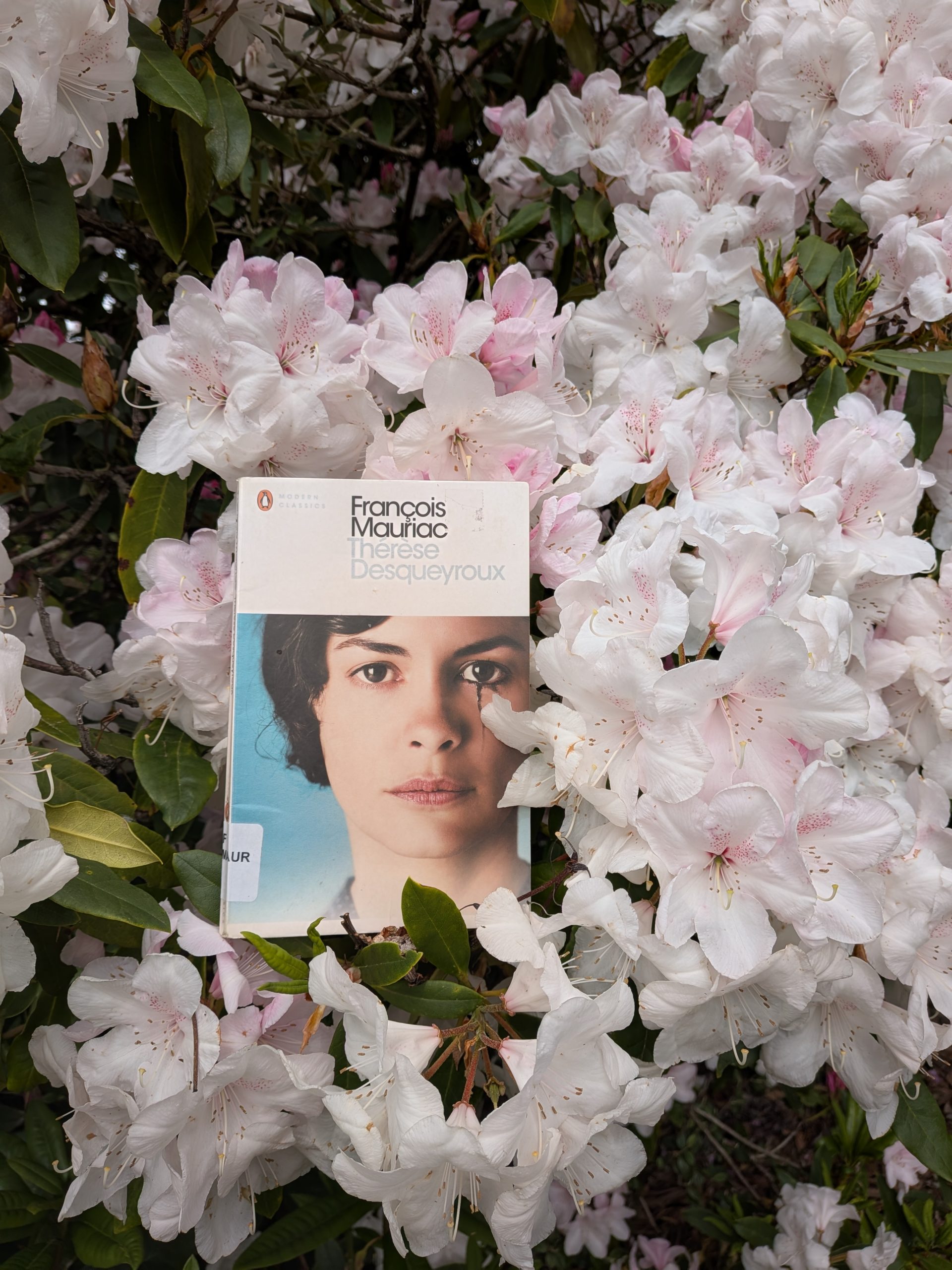 Therese Desqueyroux – Francois Mauriac