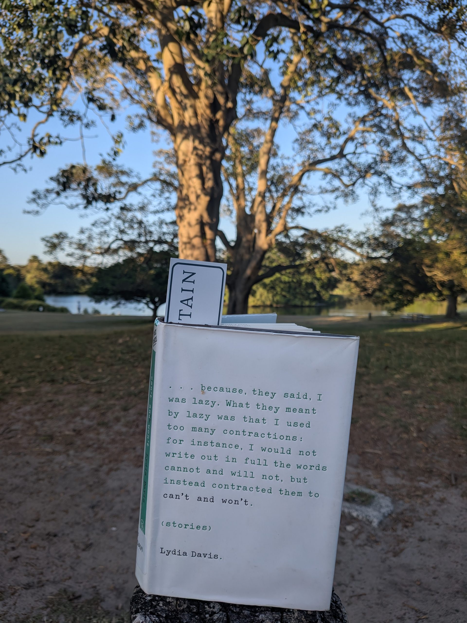 can’t and won’t – Lydia Davis