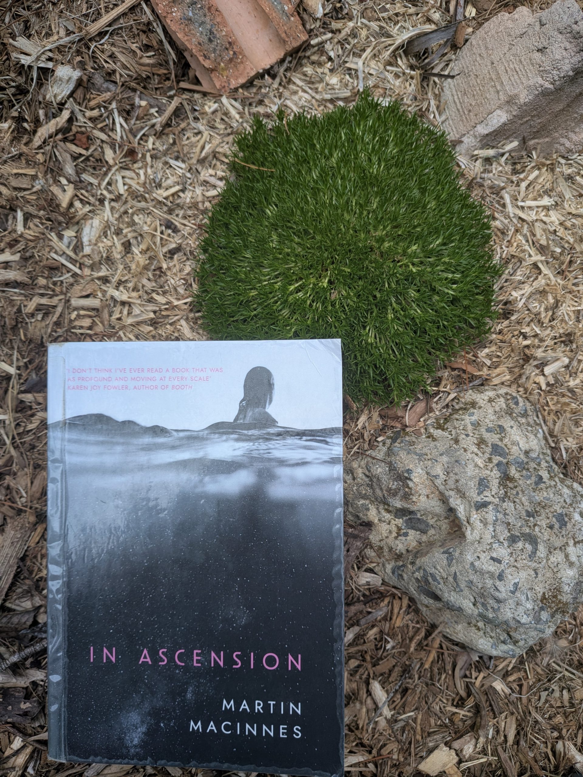 In Ascension – Martin MacInnes