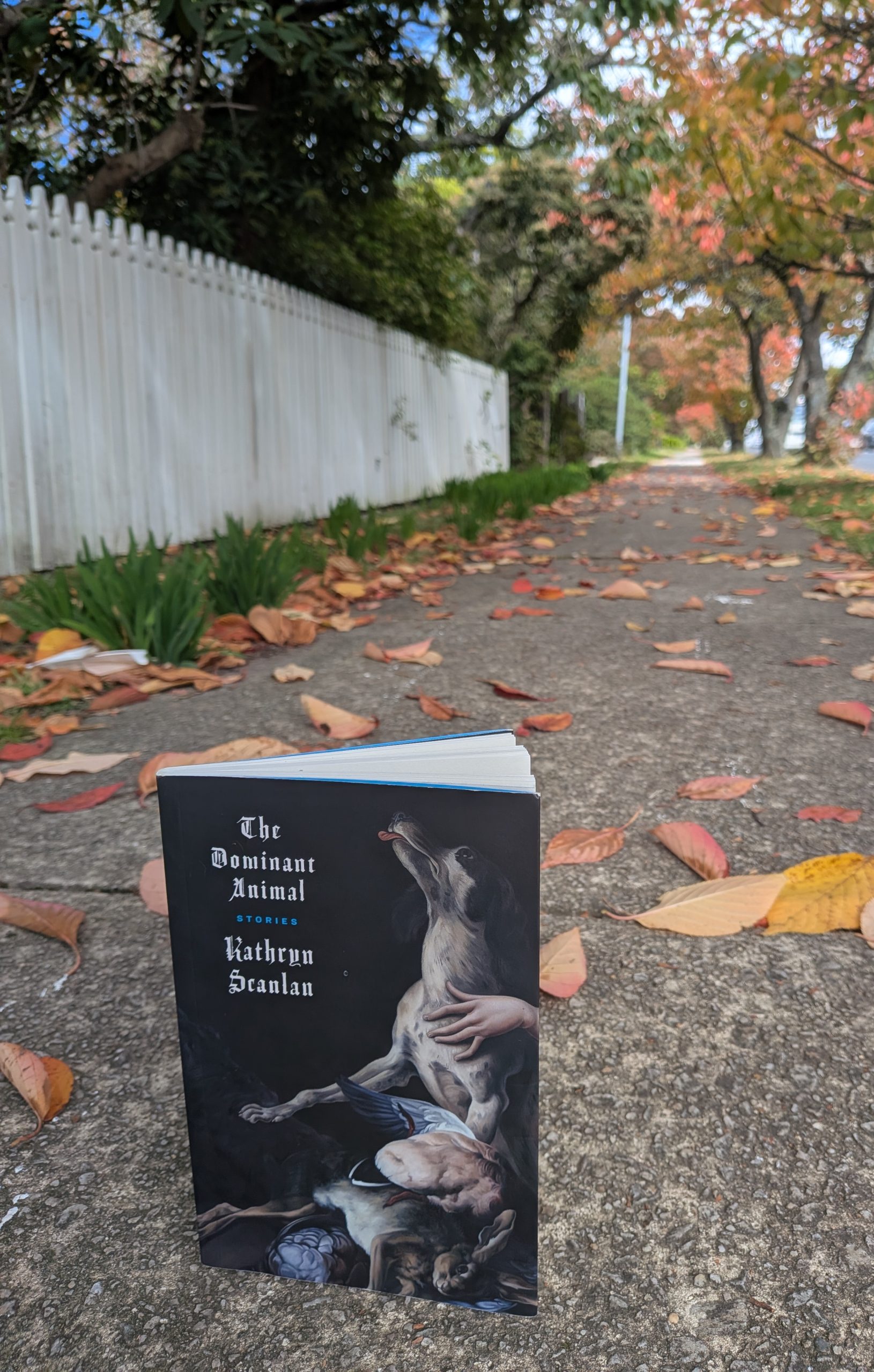The Dominant Animal – Kathryn Scanlan