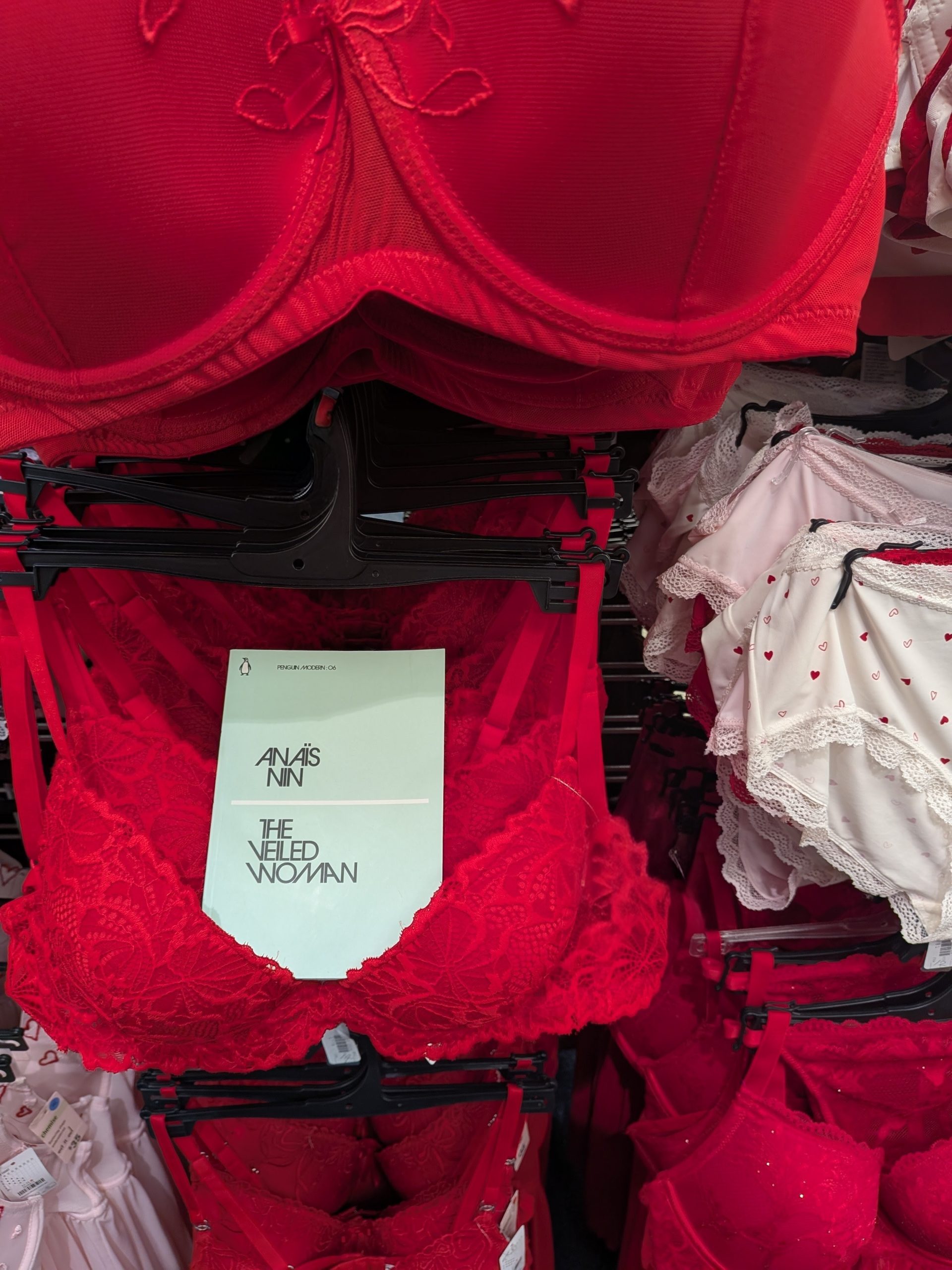 The Veiled Woman – Anais Nin