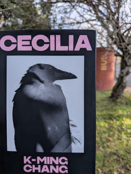 Cecilia – K-Ming Chang
