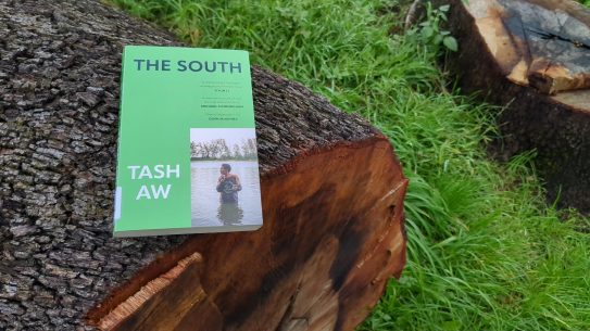 The South – Tash Aw